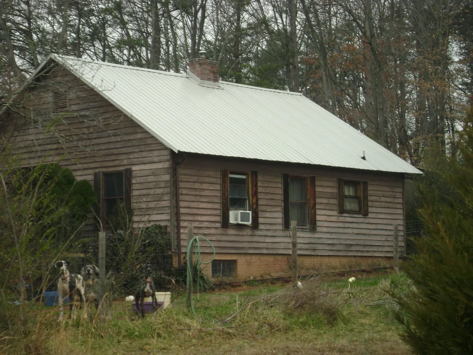 White metal roof on an old wood sided farmhouse, from a Asphalt Shingle Roof Repair job in Davis Junction